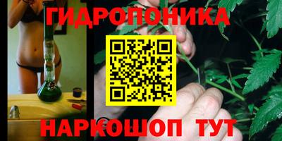 гидра Нальчик