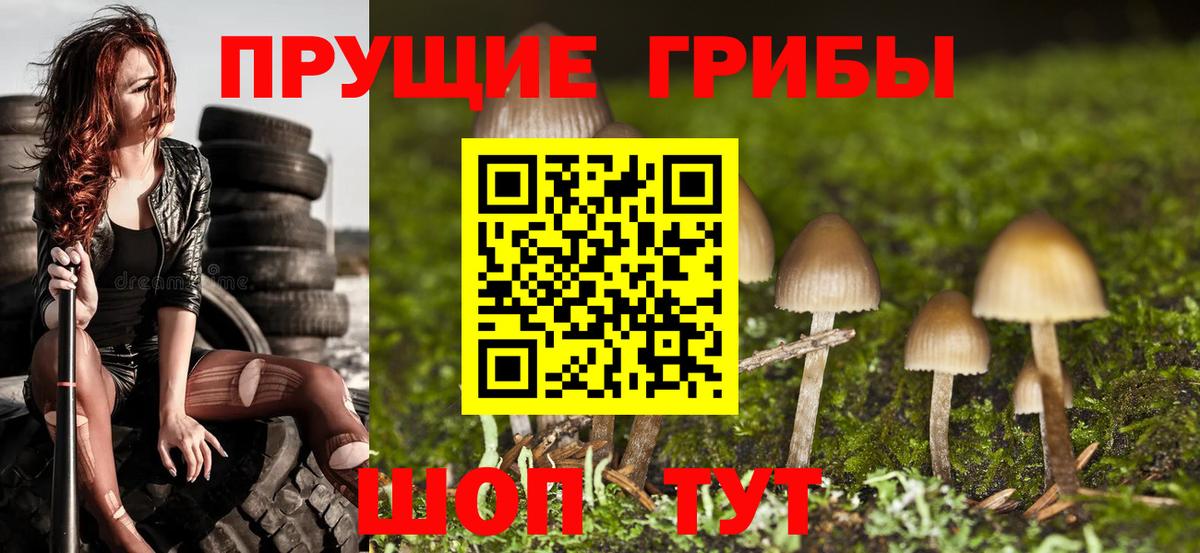 Галлюциногенные грибы мицелий  цены   Шатура  Псилоцибиновые грибы Psilocybine cubensis  Вход с VPN 